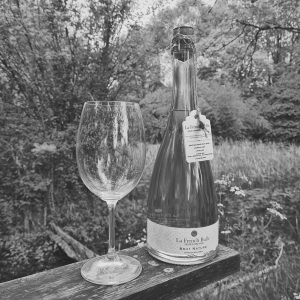 photo noir et blanc d'une bouteille de french bulle dans la nature